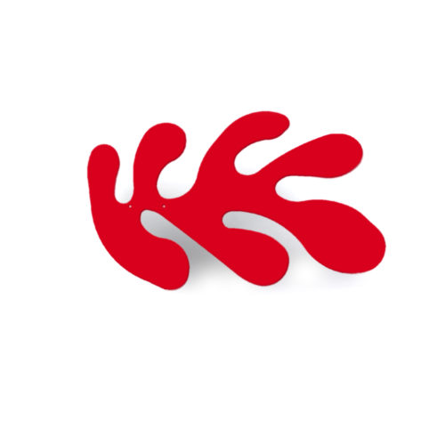 Anémone rouge