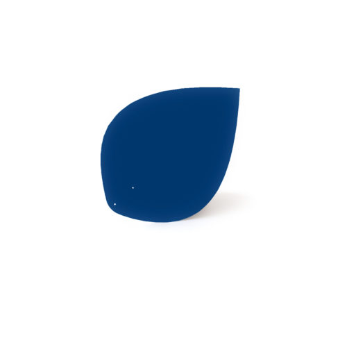 Feuille bleu