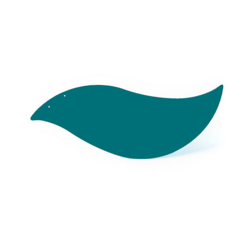 Oiseau bleu eau